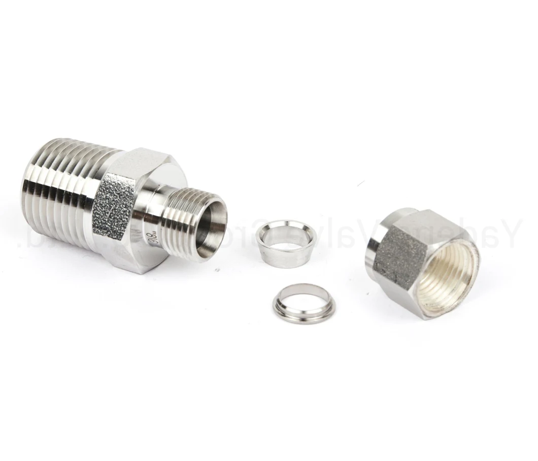 Ss 304 316 Pipe Fitting Threaded Pipe Fitting Connectors Stainless Steel Double Ferrule Male Connector